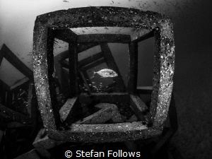 Framed ... Sail Rock, Thailand-EM5-Panasonic 8mm-iso200-f... by Stefan Follows 